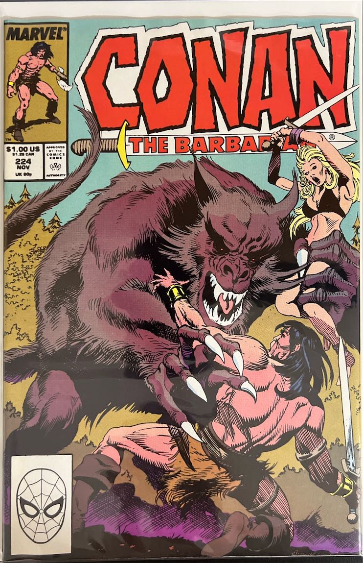 Conan the Barbarian, #224 (Marvel, 1989) - Direct Sales