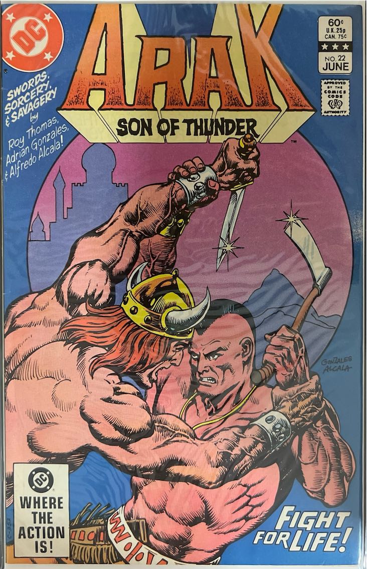 Arak Son of Thunder, #022, Fight for Life! (DC Comics, 1983) - Direct Sales