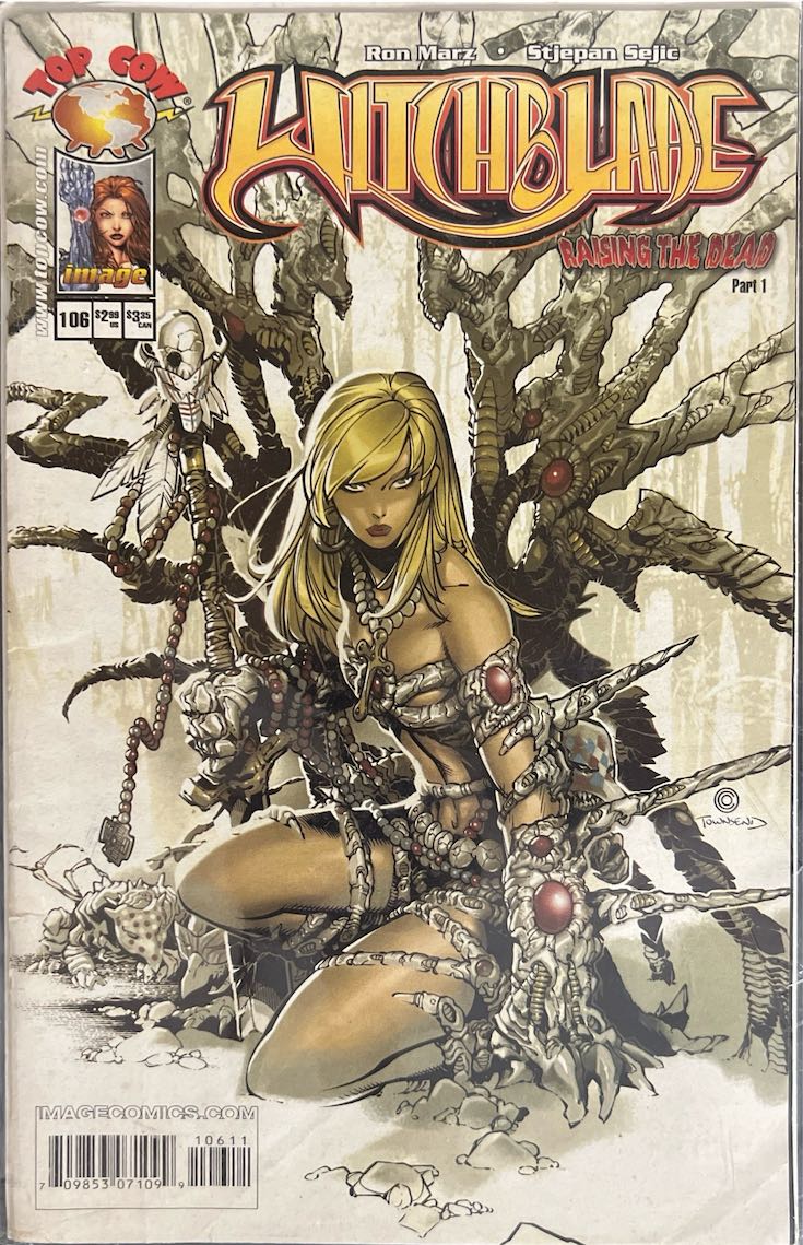 Witchblade, #106 (Image, 2007)