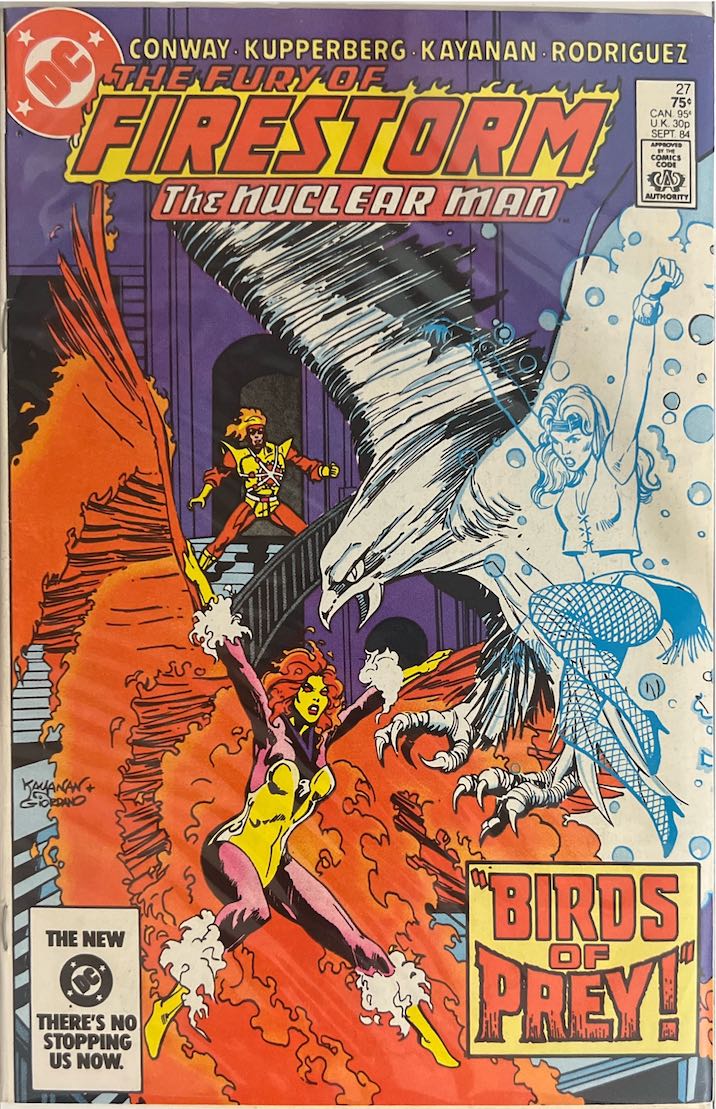 The Fury of Firestorm, #027 (DC Comics, 1984)