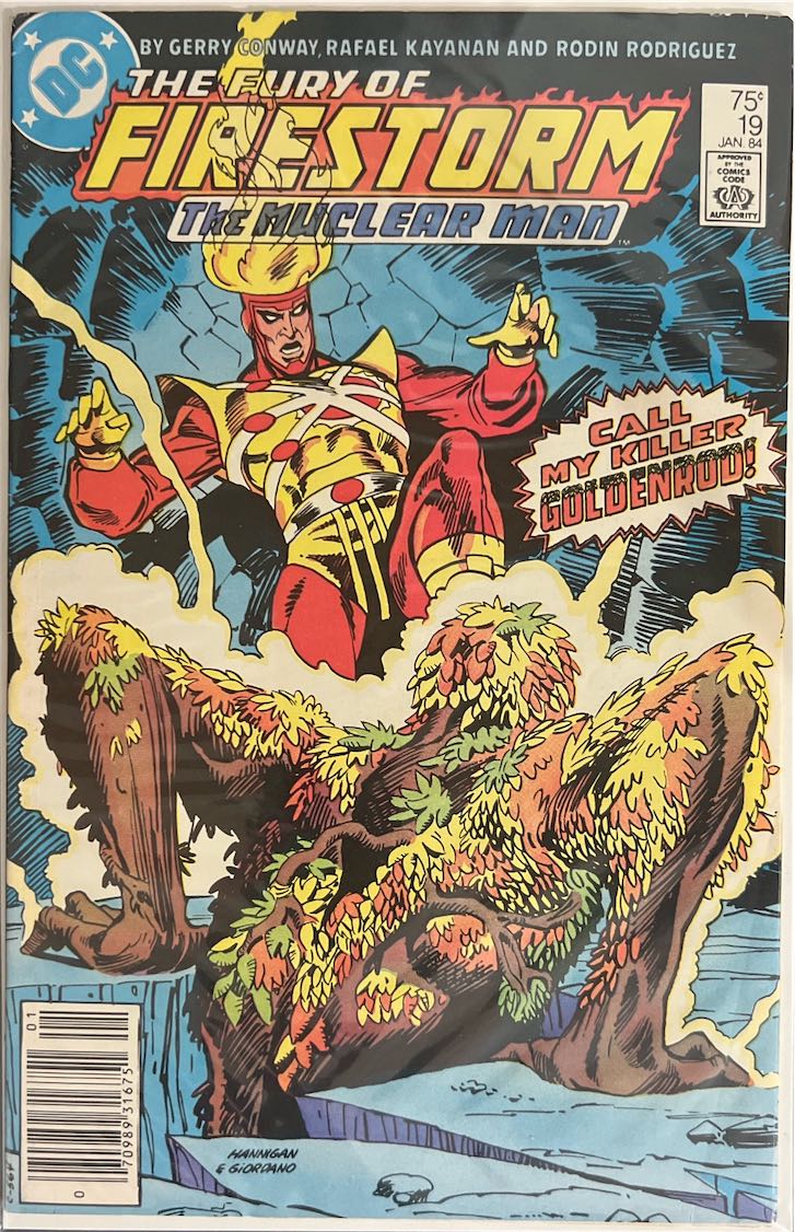 The Fury of Firestorm, The Nuclear Man, #019 (DC Comics, 1984)