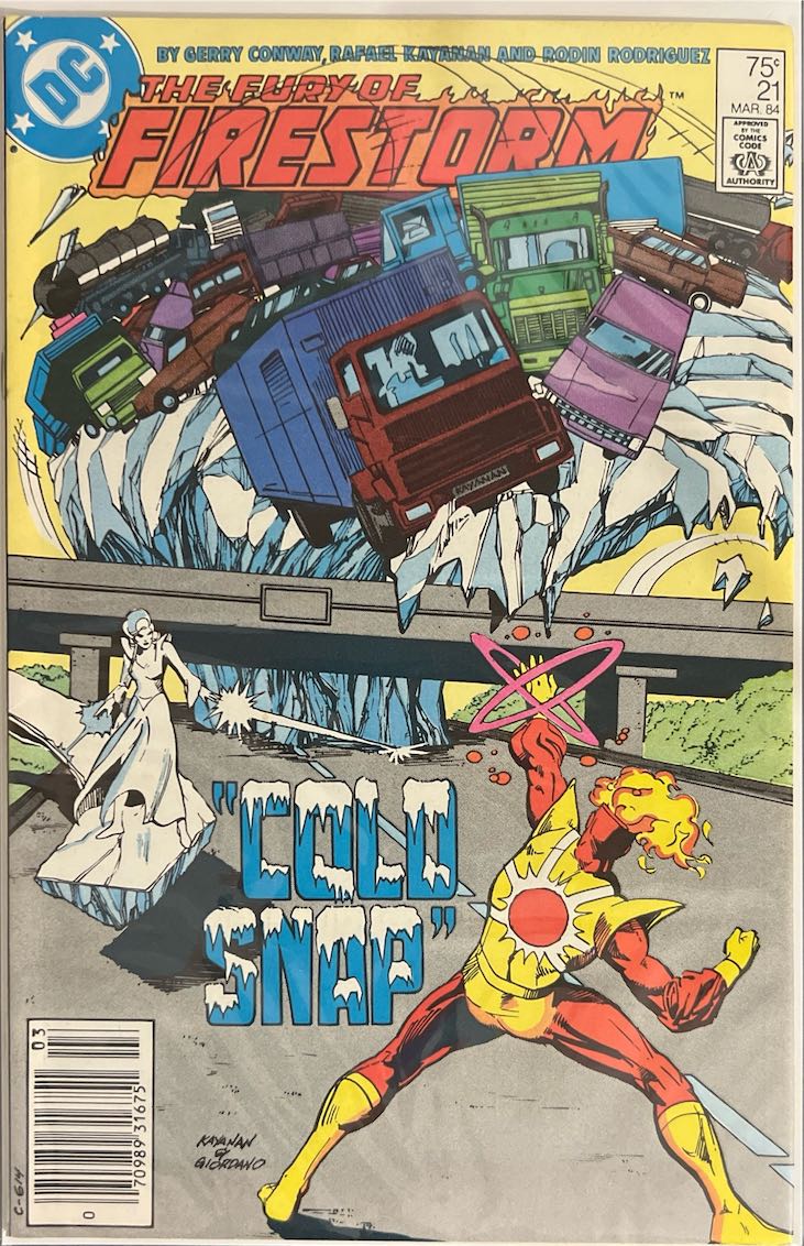 The Fury of Firestorm, #021 (DC Comics, 1984)