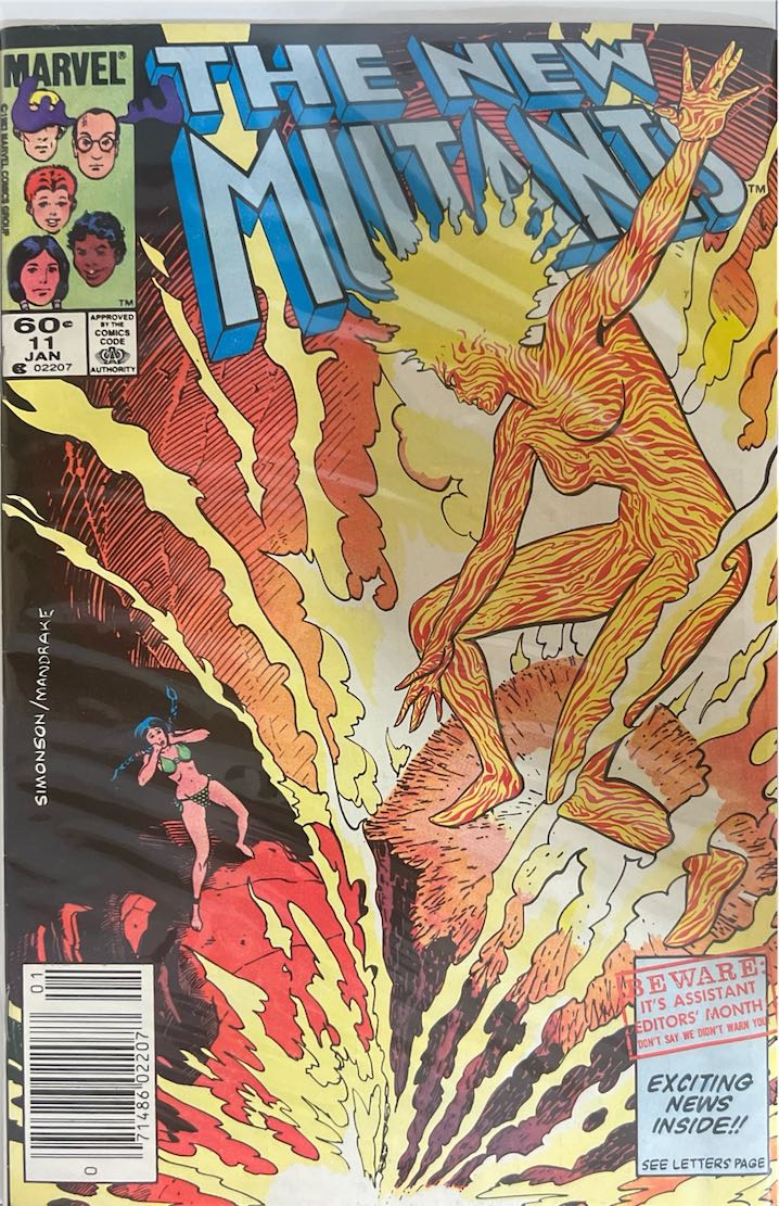 The New Mutants, #011, (Marvel, 1984) - Newsstand Edition