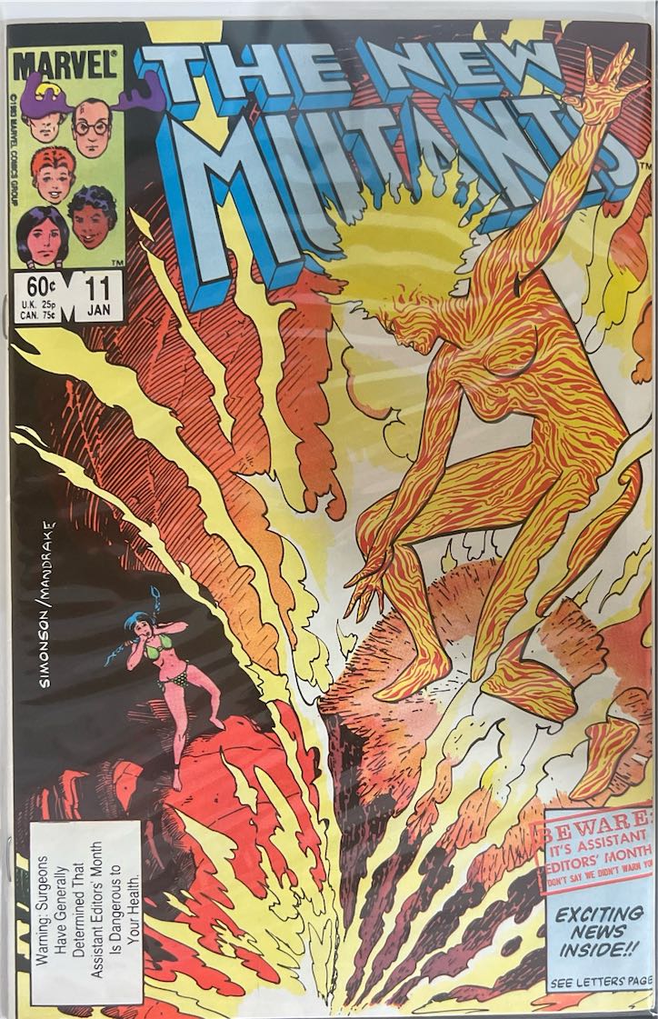 The New Mutants, #011 (Marvel, 1984) - Direct Sales